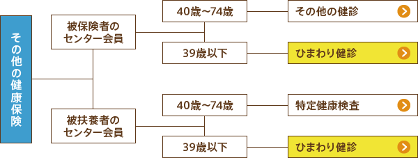 その他の健康保険の被保険者、年齢別受診表